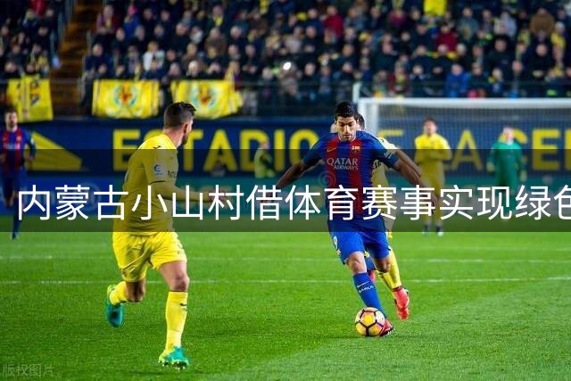 内蒙古小山村借体育赛事实现绿色蝶变 村民收入翻番