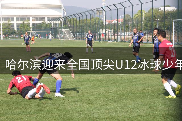 哈尔滨迎来全国顶尖U12冰球少年集训营